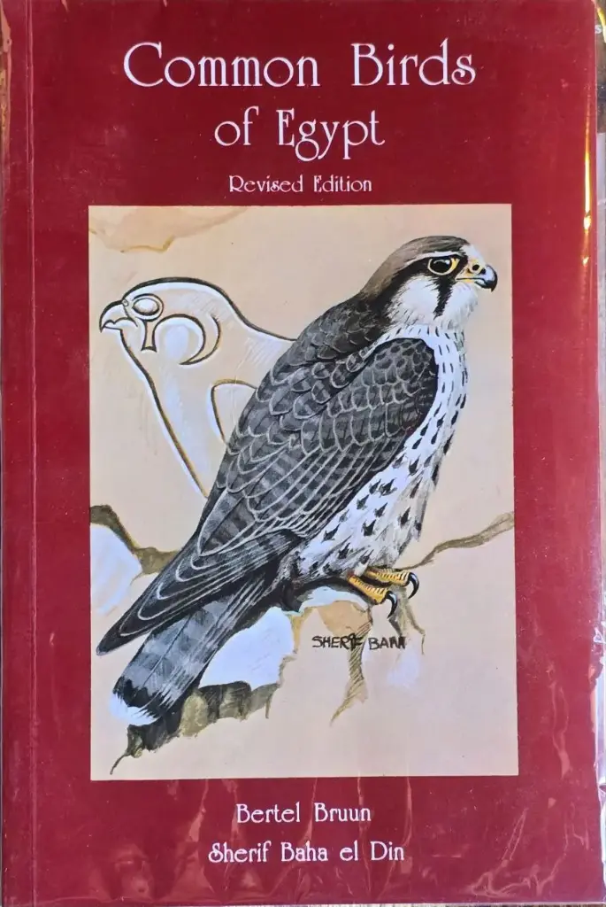 Common Birds of Egypt by Bertel Bruun & Sherif Bahaa Eldin / طيور مصر الشائعة