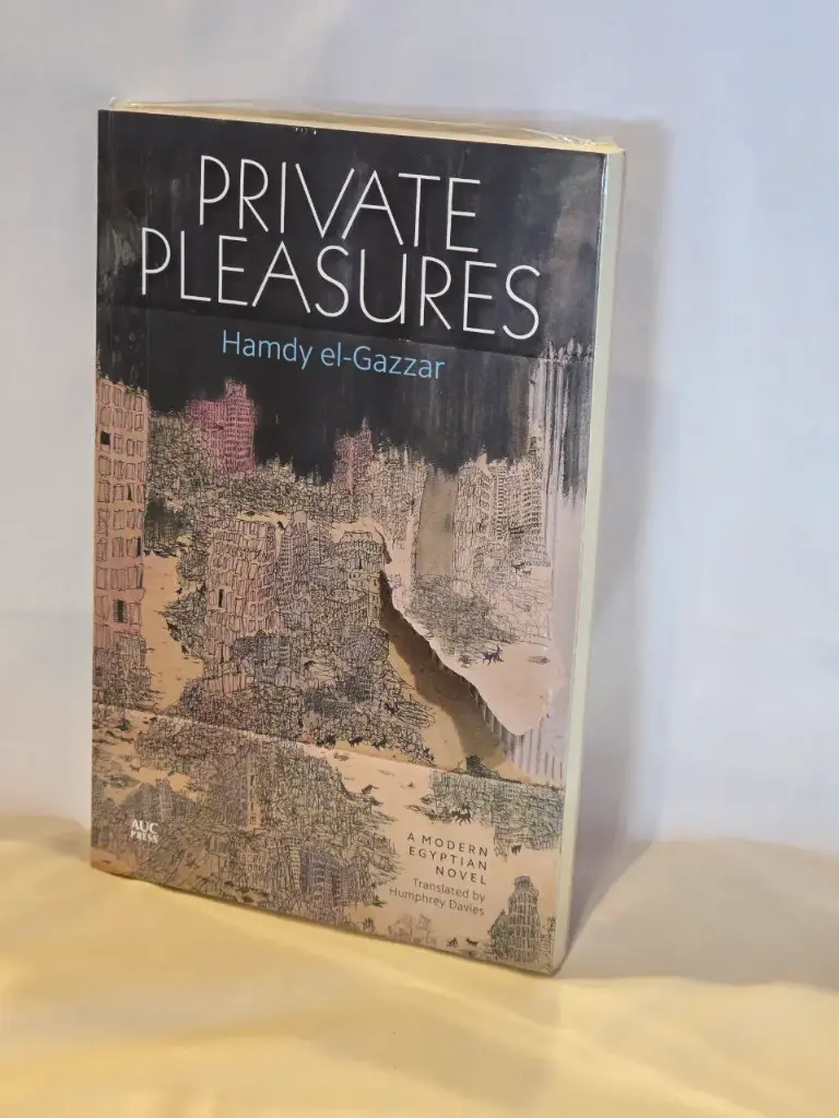 Private Pleasures by Hamdy el-Gazzar