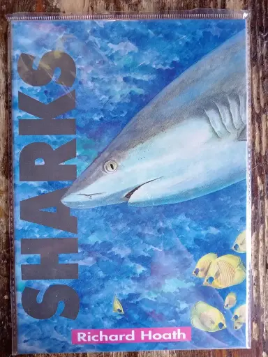 Sharks by Richard Hoath