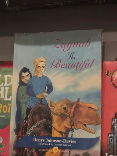 Zaynab and the Beautiful by Denys Johnson & Davies